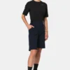 Gore Wear Fernflow Fietsshort Dames